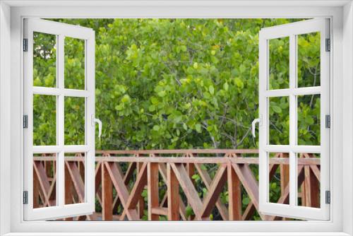 Fototapeta Naklejka Na Ścianę Okno 3D - mangrove bridge