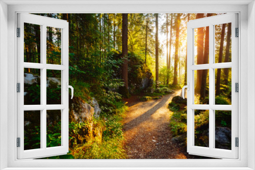 Fototapeta Naklejka Na Ścianę Okno 3D - Enchanted woods in the morning sunlight. Location place Germany Alps, Europe.
