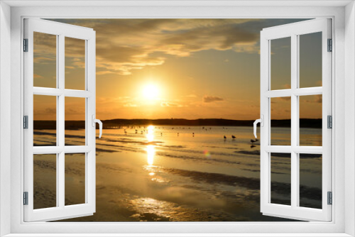 Fototapeta Naklejka Na Ścianę Okno 3D - Sunset  over the sea with birds  at low tide