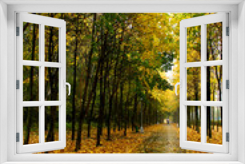 Fototapeta Naklejka Na Ścianę Okno 3D - Autumn alley.