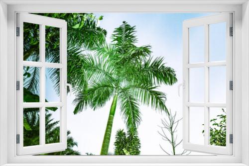 Fototapeta Naklejka Na Ścianę Okno 3D - abstract background of vibrant palm trees in artificial light electric summer