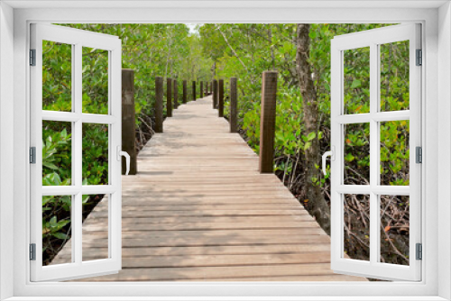 Fototapeta Naklejka Na Ścianę Okno 3D - The wooden walkway in the mangrove forest