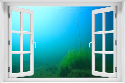 Fototapeta Naklejka Na Ścianę Okno 3D - lake background water underwater abstract / fresh water diving background nature underwater ecosystem background