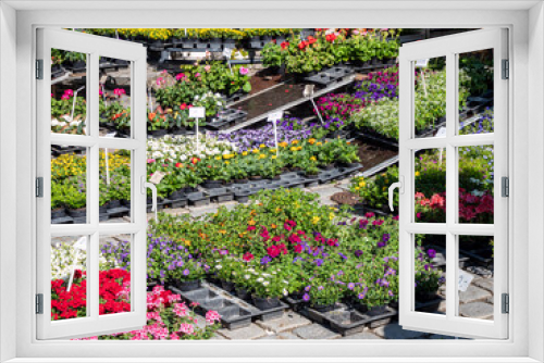 Fototapeta Naklejka Na Ścianę Okno 3D - verschiedene Blumen und Pflanzen im Gartenmarkt