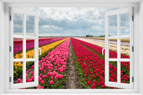 Fototapeta Naklejka Na Ścianę Okno 3D - pink, red and orange tulip field