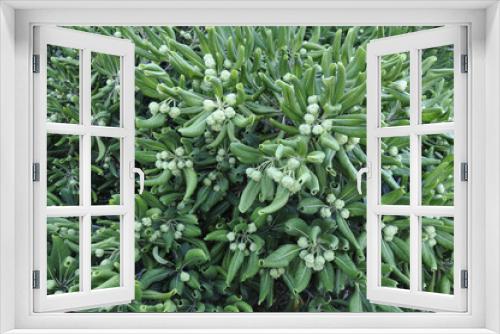 Fototapeta Naklejka Na Ścianę Okno 3D - Green Leaves