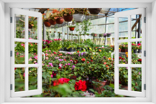 Fototapeta Naklejka Na Ścianę Okno 3D - flowers in a greenhouse