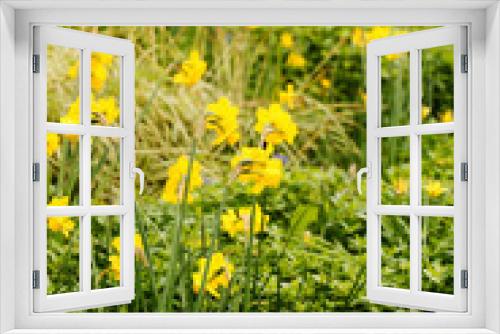 Fototapeta Naklejka Na Ścianę Okno 3D - spring garden