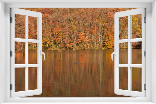 Fototapeta Naklejka Na Ścianę Okno 3D - 紅葉の湖