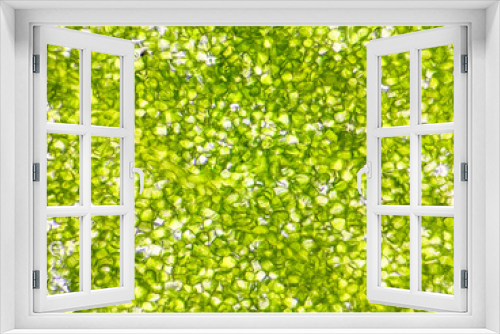 Fototapeta Naklejka Na Ścianę Okno 3D - 水菜の葉の顕微鏡写真