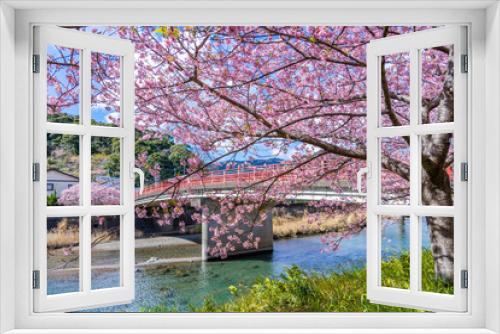 Fototapeta Naklejka Na Ścianę Okno 3D - 日本の春 伊豆河津町の桜並木