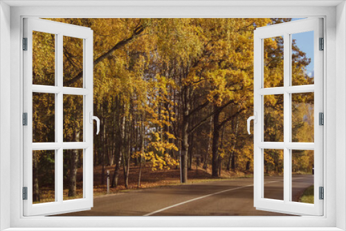 Fototapeta Naklejka Na Ścianę Okno 3D - road in autumn