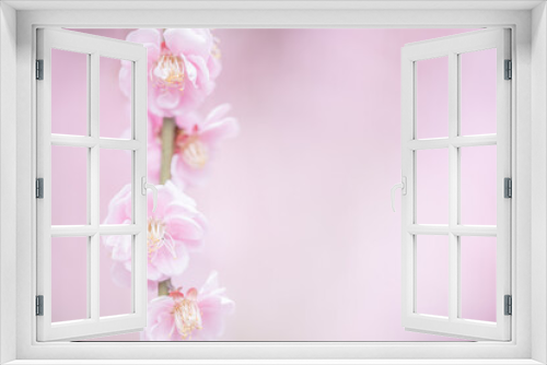 Fototapeta Naklejka Na Ścianę Okno 3D - 花・植物 枝垂れ梅