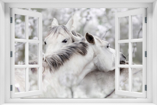 Fototapeta Naklejka Na Ścianę Okno 3D - konie wiosną
