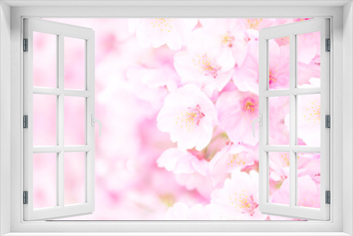 Fototapeta Naklejka Na Ścianę Okno 3D - ズームアップした桜の背景テクスチャフレーム