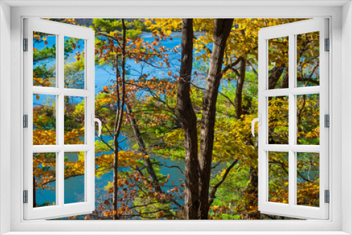 Fototapeta Naklejka Na Ścianę Okno 3D - Lake view through colorful Autumn foliage