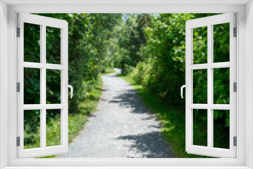 Fototapeta Naklejka Na Ścianę Okno 3D - A gravel stone footpath through a small park with a vibrant green grass lawn and tall trees on both sides of the park trail.  The evergreen trees are casting shadows across the narrow walking path. 