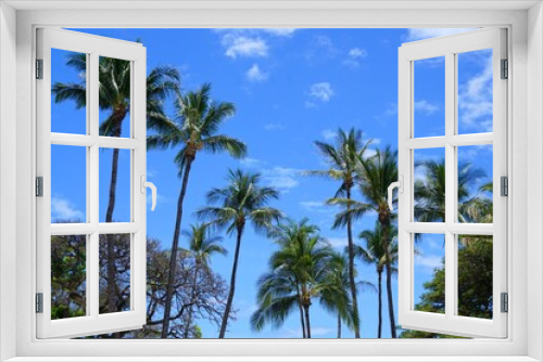 Fototapeta Naklejka Na Ścianę Okno 3D - palm trees on blue sky