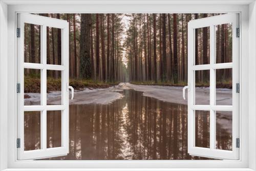 Fototapeta Naklejka Na Ścianę Okno 3D - in the pine forest the road is covered with ice