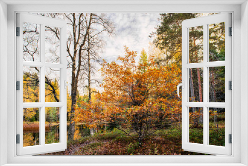 Fototapeta Naklejka Na Ścianę Okno 3D - Lovely autumn day