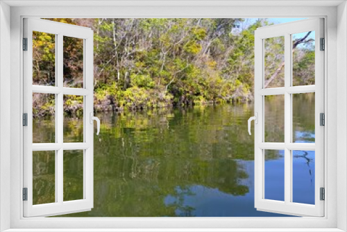 Fototapeta Naklejka Na Ścianę Okno 3D - 和歌山県紀の川市の観光ため池（大池遊園）の水面に映り込んだ青空と自然の木々の風景（コピースペースあり）