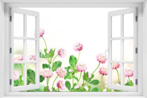 Fototapeta Naklejka Na Ścianę Okno 3D - Wild red clover (Trifolium pratense) on sunny nature spring background
