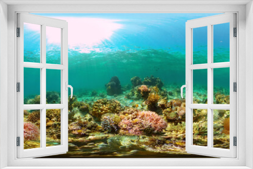 Fototapeta Naklejka Na Ścianę Okno 3D - Beautiful underwater landscape with tropical fishes and corals. Life coral reef. Reef Coral Garden Underwater. Philippines. 360 panorama VR