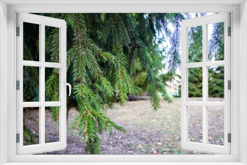 Fototapeta Naklejka Na Ścianę Okno 3D - beautiful green trees in the spring