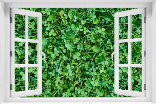 Fototapeta Naklejka Na Ścianę Okno 3D - Green grass surface