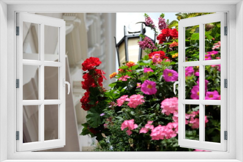 Fototapeta Naklejka Na Ścianę Okno 3D - Colorful flowers