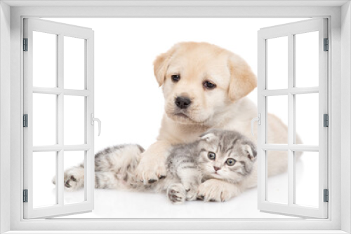 Fototapeta Naklejka Na Ścianę Okno 3D - Golden retriever puppy hugs a tiny tabby kitten. isolated on white background