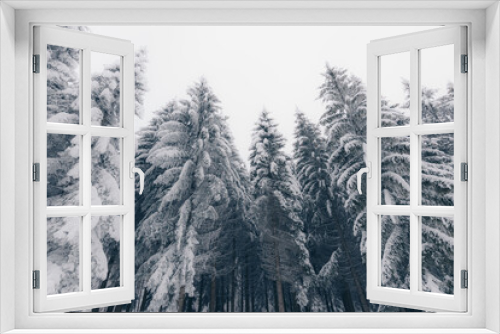 Fototapeta Naklejka Na Ścianę Okno 3D - Snow covered trees in the mountains.