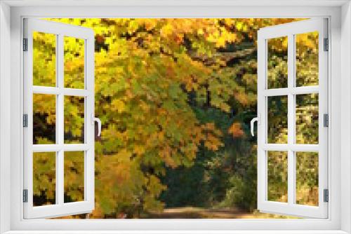 Fototapeta Naklejka Na Ścianę Okno 3D - Autumn Country Road