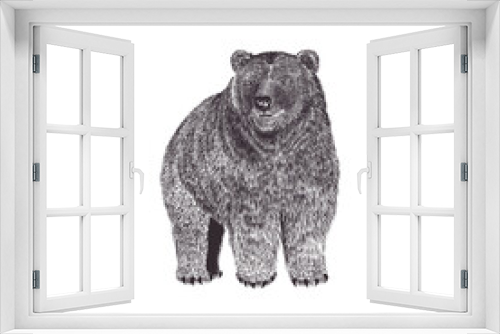 Fototapeta Naklejka Na Ścianę Okno 3D - bear sketch