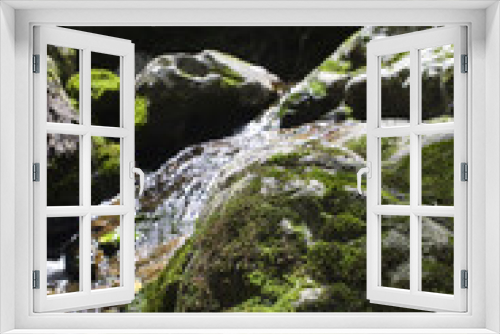Fototapeta Naklejka Na Ścianę Okno 3D - 깨끗한 물이 흐르고있는 이끼낀 계곡