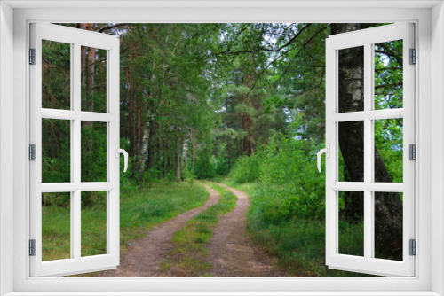 Fototapeta Naklejka Na Ścianę Okno 3D - Small forest scenic road on a spring day.