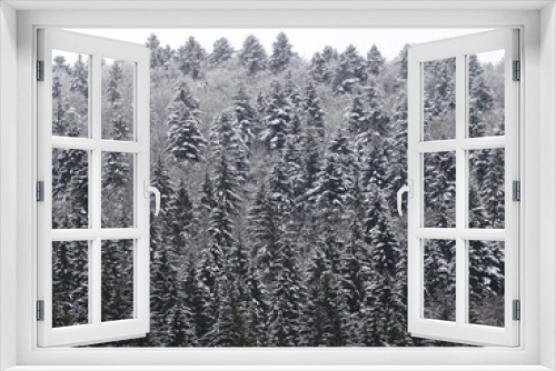 Fototapeta Naklejka Na Ścianę Okno 3D - winter and snow in the forest