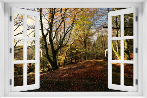Fototapeta Naklejka Na Ścianę Okno 3D - The warm colors of autumn in Scotland