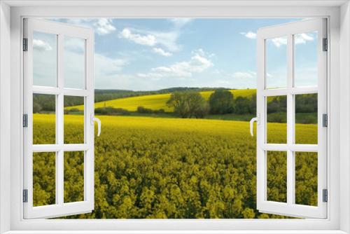 Fototapeta Naklejka Na Ścianę Okno 3D - Amazing bright colorful spring and summer landscape for wallpaper. Yellow field of flowering rape and tree against a blue sky with clouds. Natural landscape background with copy space, Ukraine