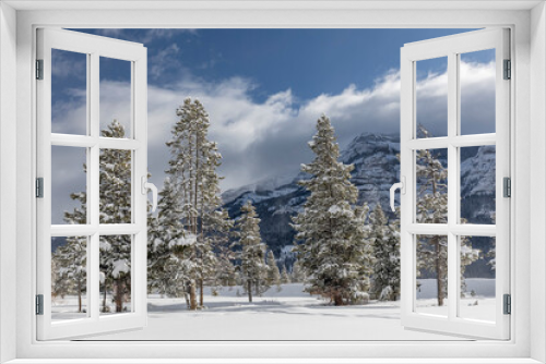 Fototapeta Naklejka Na Ścianę Okno 3D - Winter snow scene, Lamar Valley, Yellowstone National Park, Wyoming.