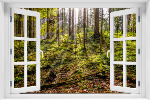 Fototapeta Naklejka Na Ścianę Okno 3D - Wald mit  Lichtdurchblick 