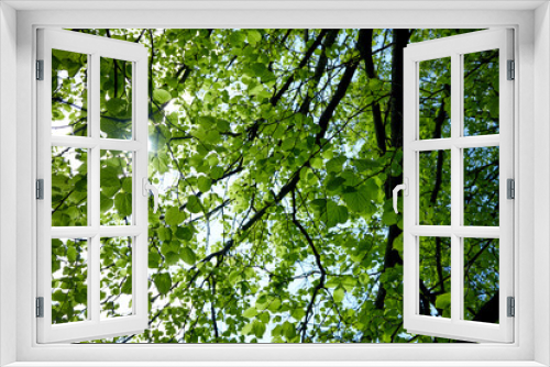 Fototapeta Naklejka Na Ścianę Okno 3D - spring garden with different trees