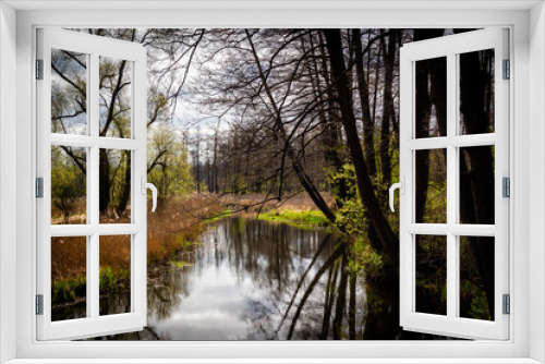 Fototapeta Naklejka Na Ścianę Okno 3D - Wiosna nad rzeką Supraśl, Podlasie, Polska