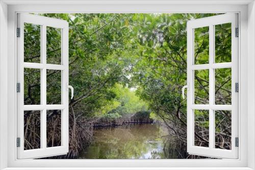 Fototapeta Naklejka Na Ścianę Okno 3D - Florida Everglades