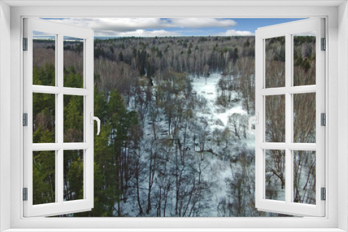 Fototapeta Naklejka Na Ścianę Okno 3D - Spring forest in Moscow region, Russia