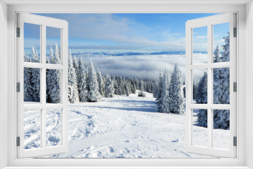 Fototapeta Naklejka Na Ścianę Okno 3D - Winter Wonderland 191202