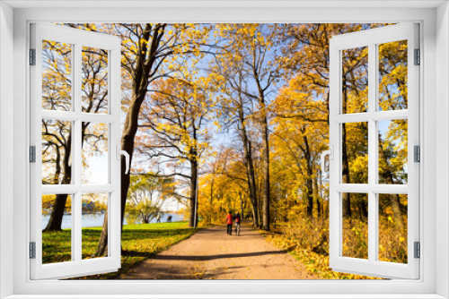 Fototapeta Naklejka Na Ścianę Okno 3D - View of city park in autumn