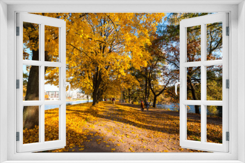 Fototapeta Naklejka Na Ścianę Okno 3D - View of city park in autumn