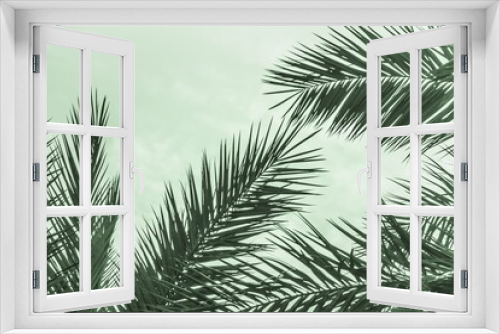 Fototapeta Naklejka Na Ścianę Okno 3D - Tropical tourism paradise palms in sunny summer sun green sky. Sun light shines through leaves of palm. Beautiful wanderlust travel journey symbol for vacation trip to southern holiday dream island