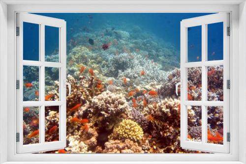 Fototapeta Naklejka Na Ścianę Okno 3D - blue hole corals
